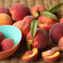 도풀이네 이미지