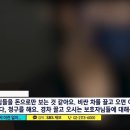 서울송파동물병원
