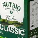 클릭 덴탈 이미지