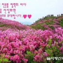 제182차 산상화원 남원 바래봉 철쭉 산행안내(5월13일,토요일) 이미지