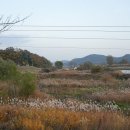 굴암리경로당 네이버블로그