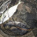 중해레저낚시터 이미지