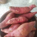 제주스테이대흘 이미지