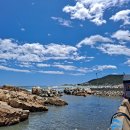 변월도