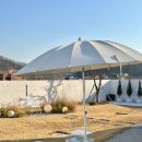 스테이수채화 이미지