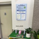 SG골프스크린군산점 | [안성 공도] 스크린골프 어디 갈까? ⛳️SG골프 공도점 직접 다녀온 후기