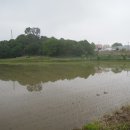 헤이리사거리 이미지