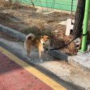 구미 k맘택시 이용후기