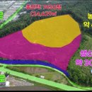 서울역 직결 양평 7,450평형 대형 임야 급매 착한 가격+지평역 생활권+생산관리지역 포함+계곡 접한 수도권 자연형 토지 이미지