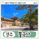 성덕애견 | 경주 불국사 벚꽃, 언제 만개할까? 개화 시기 &amp; 여행 팁 총정리