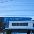 브리즈번 공장 후기, the fish factory 근무 후기 , 모닝사이드공장