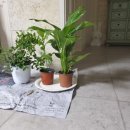 범수농장 이미지