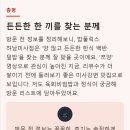 밥풀릭스(BAPULIX) - 청주시 청원구 | BAPULIX · HANAM MISA 밥풀릭스 하남 미사점 경기 하남 망월동 · 미사강변 한식 백반·덮밥 쯔양소개