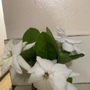 나그네 호스텔 이미지