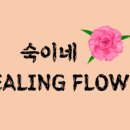 꽃회사농장 이미지