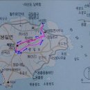 생일면-1 이미지