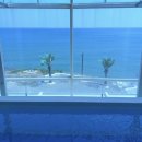 어보브 블루 A 이미지