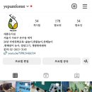 예쁨유치원 이미지