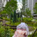 안양 범계 도테라오일로 아로마 향낭 만들기 클래스 (아로마2급자격증 무료수강 정보)
