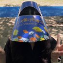 (주)서울가든 | 서울가든페스티벌 현장예약 방법 | 5월 23일 공연 후기 적재, 10cm