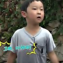 해빛