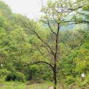 문배골 캠핑장 이미지