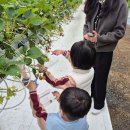 장항초등학교병설유치원 이미지