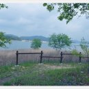 대청농장 이미지