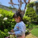 사랑몬테소리어린이집 이미지