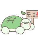 허니컴퍼니