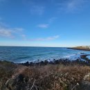 미르세탁 전문점 이미지