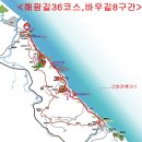 바우길 8구간 이미지
