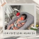신생아 하이체어 스토케 트립트랩 뉴본세트 내돈내산 실사용후기