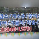 푸른건강원 이미지