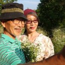 한솔팬션민박 이미지