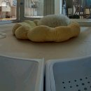 신세계프라자빌딩 이미지