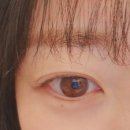 정감안경 위드렌즈 이미지