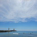 양양장칼국수 이미지