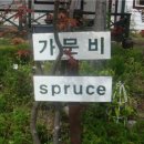 래미안관광펜션 네이버블로그