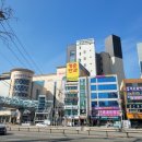 국제국내결혼정보 이미지