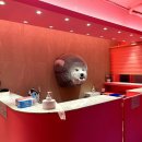 물노래연습장 이미지