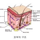 경희피레토한의원 이미지
