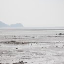 메추리 펜션 이미지