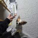 이모네토스트&버거 | 조용하지만 소란스러운 나의 12월