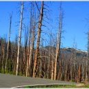 옐로우스톤 이미지