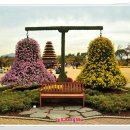 바이오드림(주) 이미지
