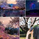 대봉참숯갈비 | 2026 렛츠런파크 서울 벚꽃축제 완벽 가이드 🌸 드론쇼부터 과천 맛집까지, 봄날 데이트·가족 나들이...