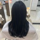 햇살컨설팅 | 메이원헤어 미금점 헤어컨설팅 블랙 염색 후기