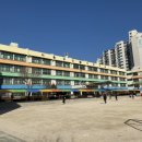 서울공연초등학교 이미지