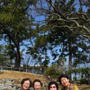 해피킹호(2층) | 거제 저도 유람선 - 저도